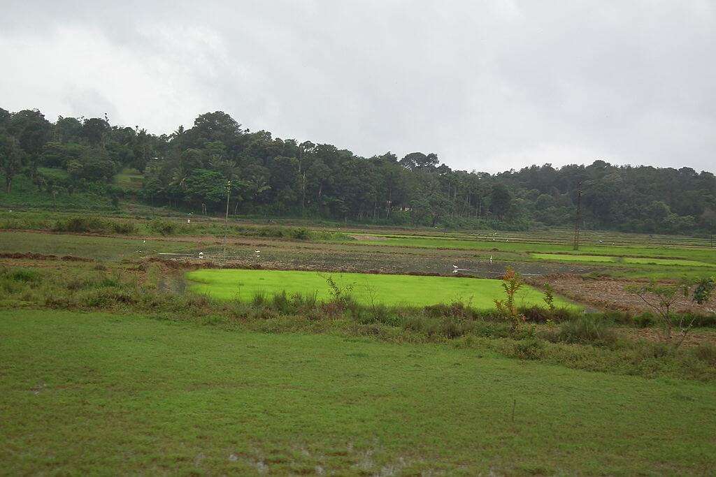 Coorg_karnataka_hillstation