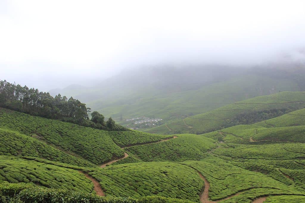 Kolukkumalai