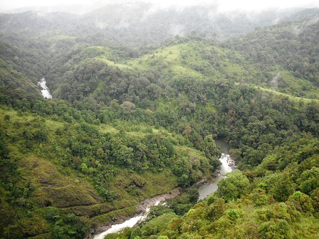 Kundhi_River_Silent_Valley_National_Park