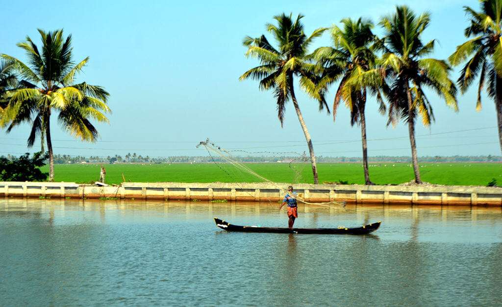 Kuttanad_backwaters