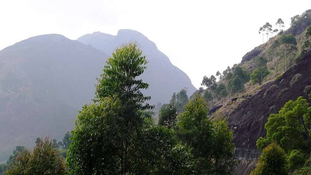 Lock_Heart_Gap,_Munnar