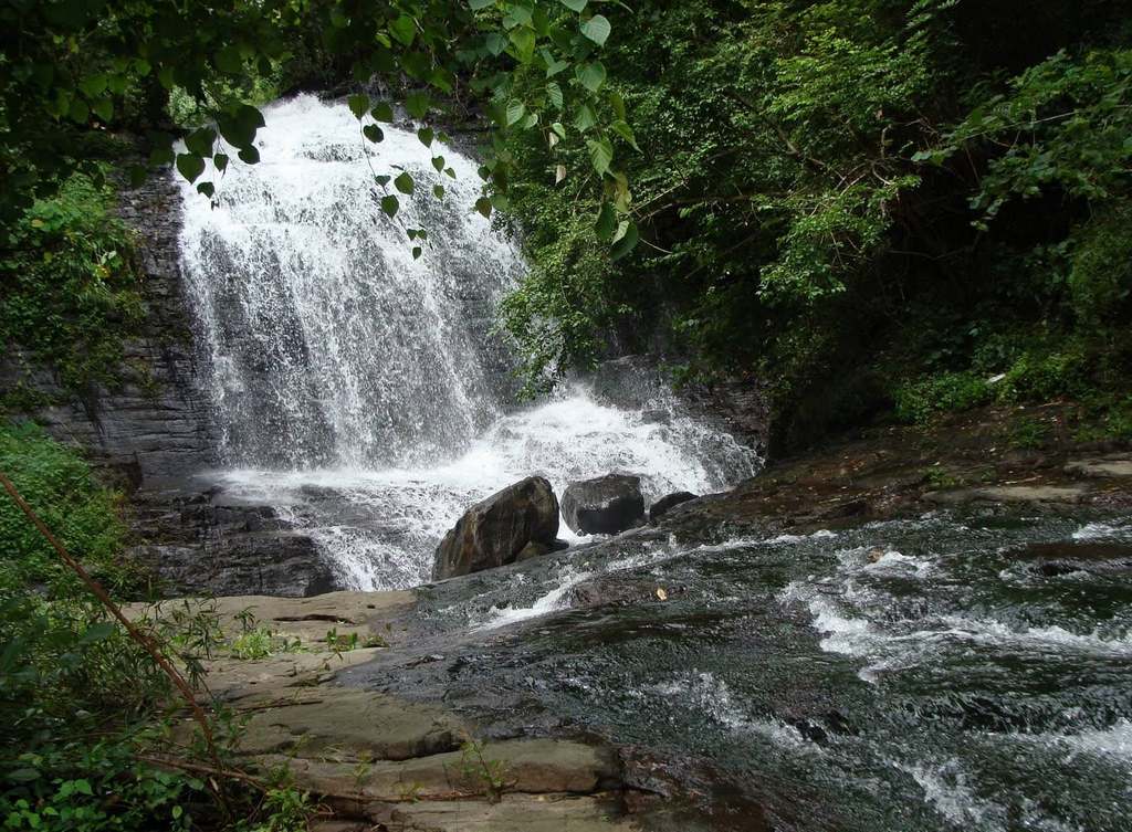 Pattathippara-Waterfalls-Thrissur