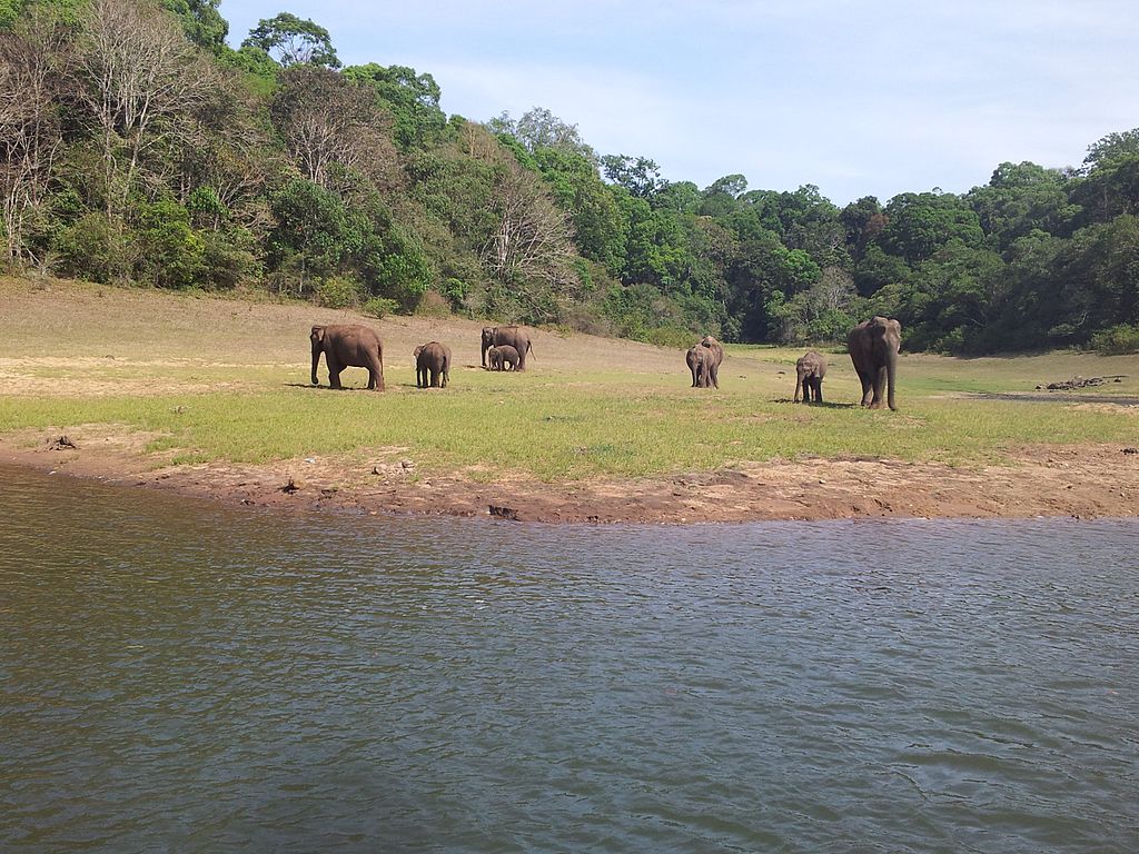 Periyar National Park Thekkady