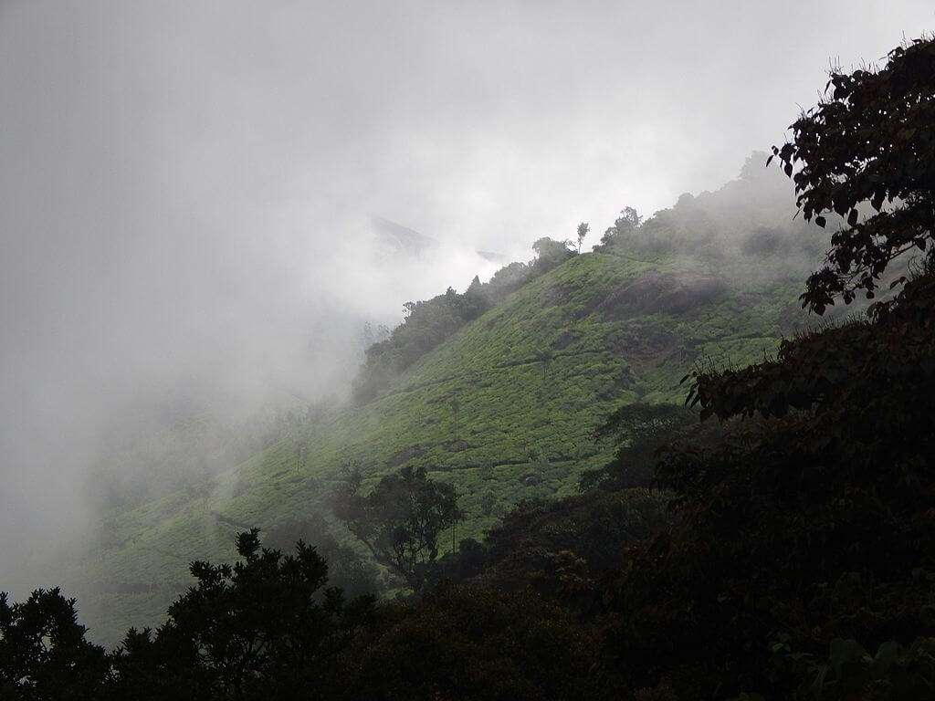 Pothamedu_Viewpoint,_Munnar