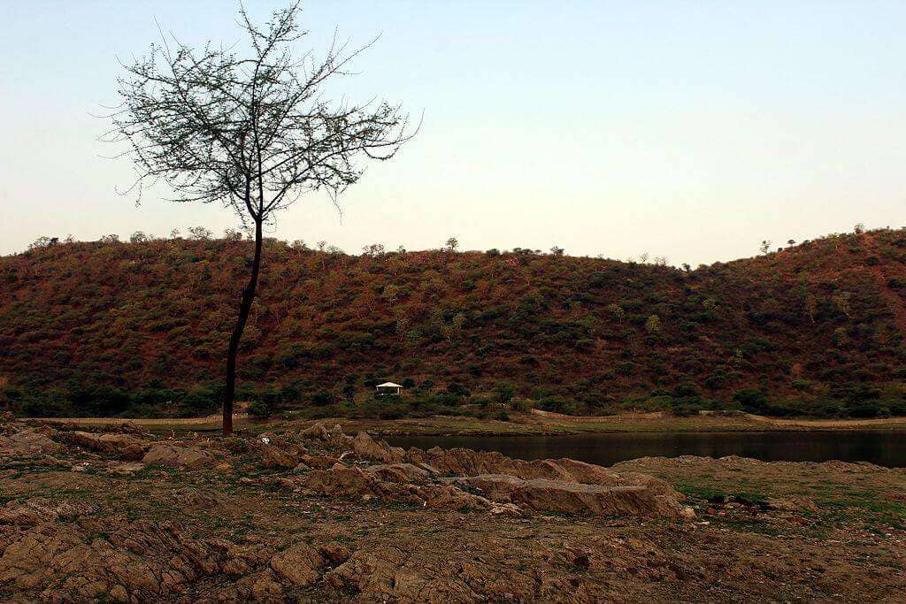 Sajjangarh_Wilde_Life_Sanctuary_View_from_Badi_Lake