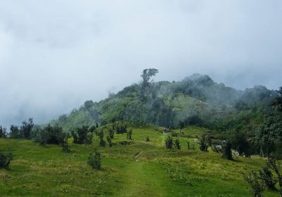 Singalila_National_Park