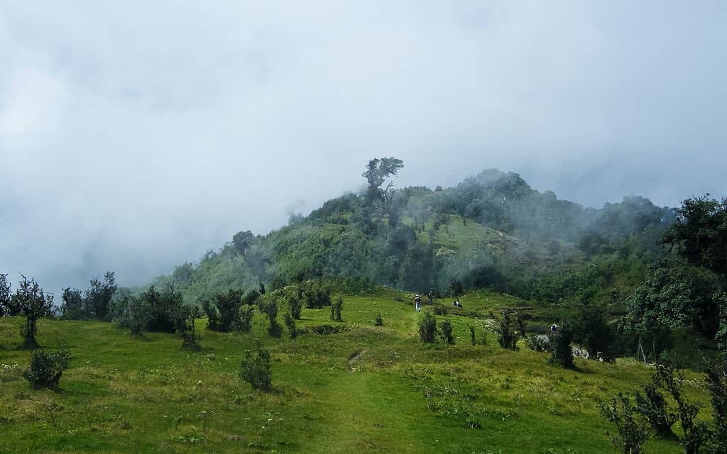 Singalila_National_Park