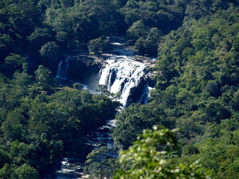 Thoovanam_Waterfall_near_marayur_(259511633)