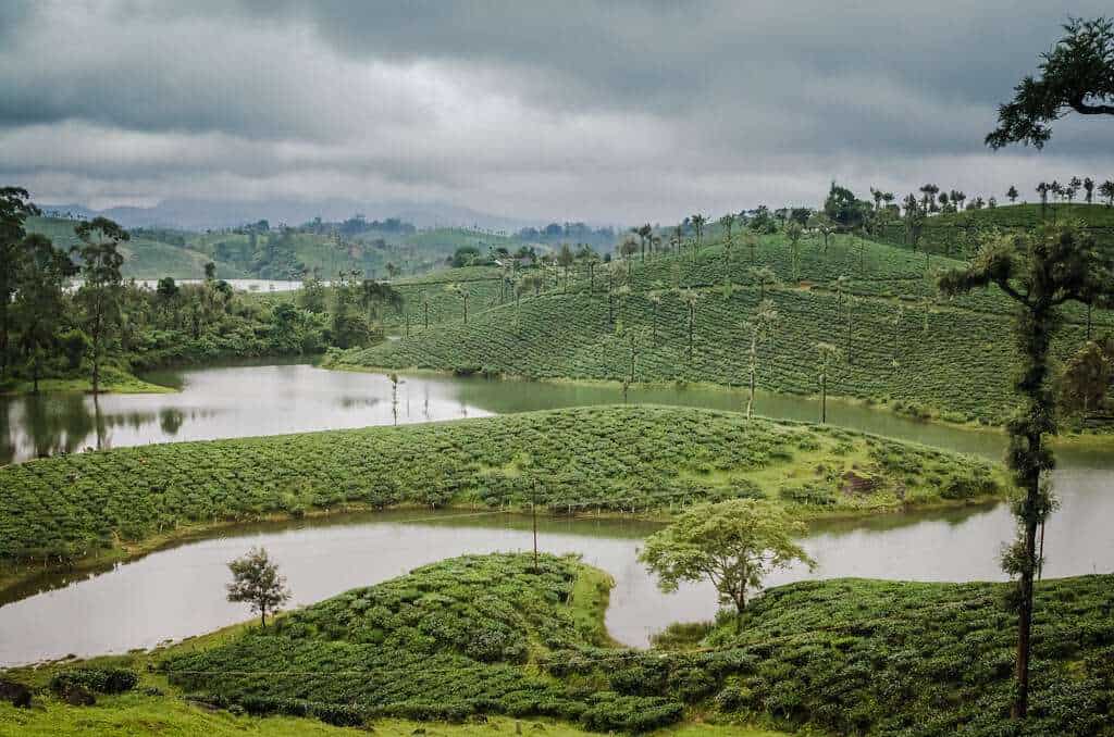 Valparai_Hillstation_TamilNadu