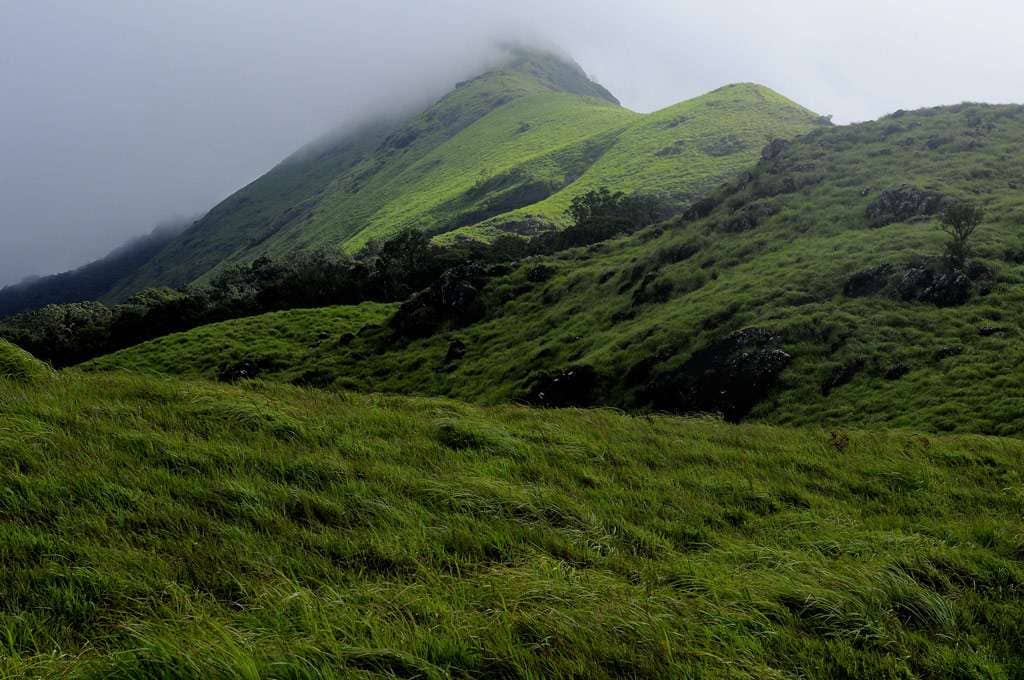 chembra peak Wayanad