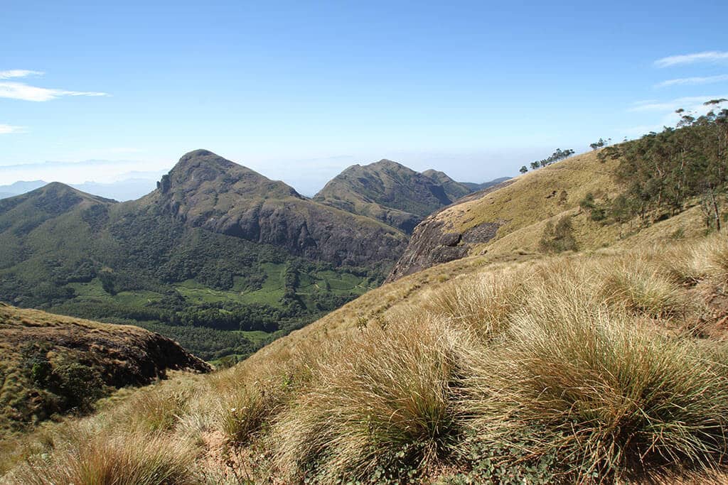 Meesapulimala Trekking 